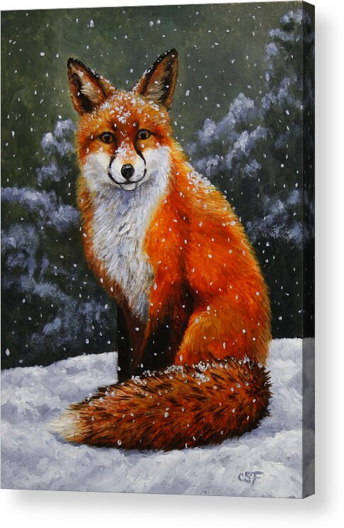 Dog Acrylic Print featuring the painting Snow Fox by Crista Forest