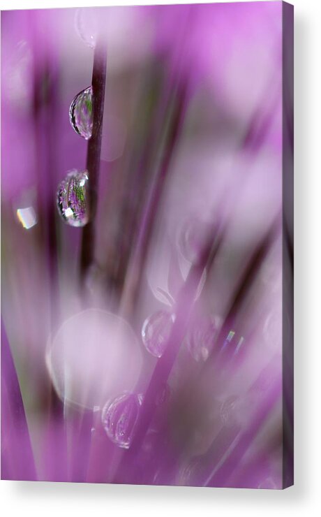 Nature Acrylic Print featuring the photograph Soul in Rain by Tracy Male