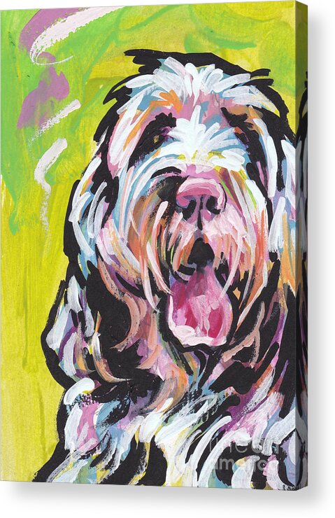 Spinone Italiano Acrylic Print featuring the painting Spin One Baby by Lea S