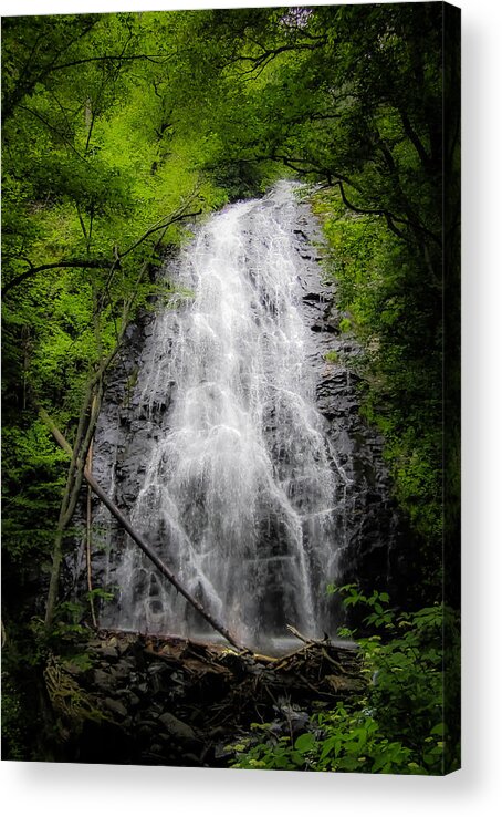 Landscape Acrylic Print featuring the photograph Springtime Waterfall by Dave Hall
