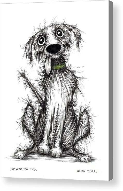 Smelly Dog Acrylic Print featuring the drawing Stinker the dog by Keith Mills