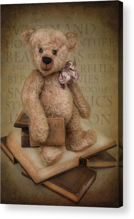 Books Acrylic Print featuring the photograph Story Time by Robin-Lee Vieira