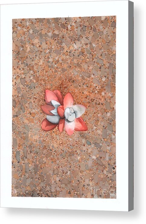 Landscape Acrylic Print featuring the painting Succulent on the beach by Hilda Wagner