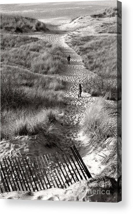 Beachscape Acrylic Print featuring the photograph Summer Sisters by Brett Maniscalco