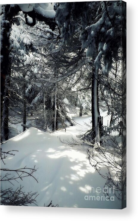Winter Acrylic Print featuring the photograph Sun Dappled Snow by James Aiken