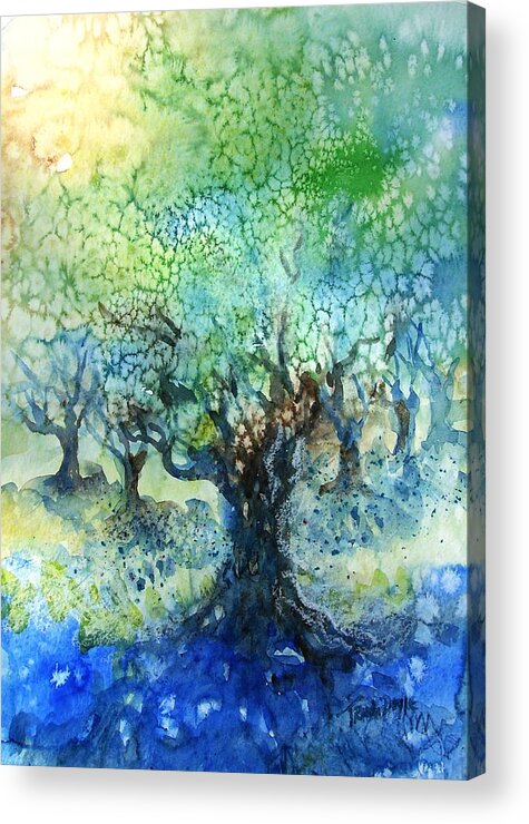  Olive Grove Acrylic Print featuring the painting Sundrenched Olive Grove  by Trudi Doyle