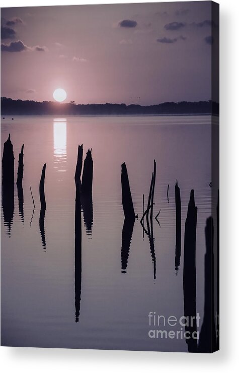(tree Or Trees) Acrylic Print featuring the photograph Sunrise over Manasquan Reservoir IV by Debra Fedchin