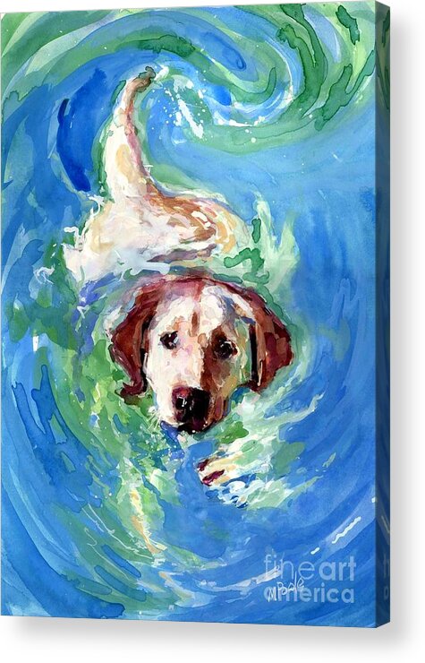 Dog Swimming Acrylic Print featuring the painting Swirl Pool by Molly Poole
