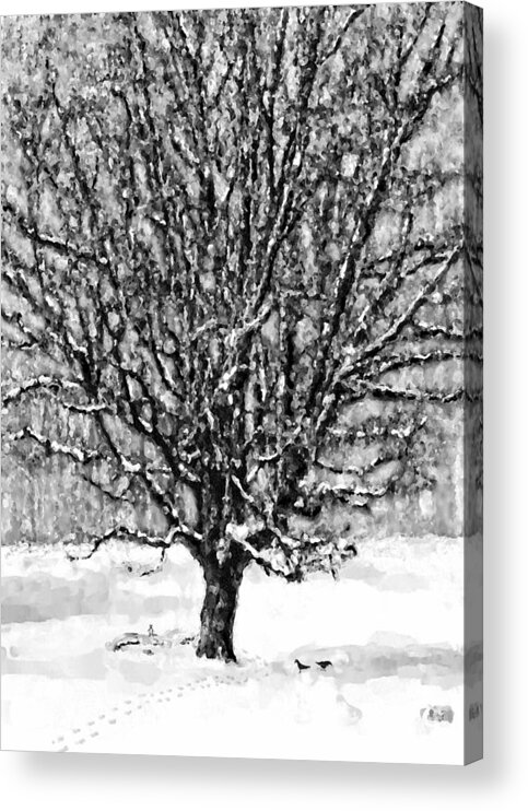Tree Acrylic Print featuring the digital art The Adrian Tree by Gary Olsen-Hasek