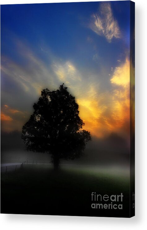 Cades Cove Acrylic Print featuring the photograph The Edge Of Light by Michael Eingle