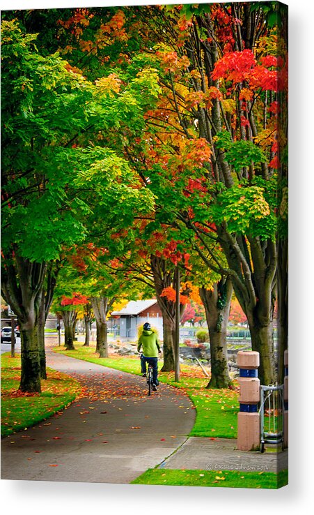 Fall Acrylic Print featuring the photograph The Fall Bike Ride by Cassius Johnson