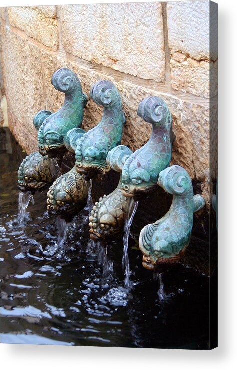 Fountain Acrylic Print featuring the photograph The Fish by Kathryn McBride
