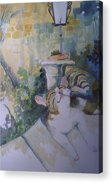 Cat Acrylic Print featuring the painting The Itch by Ray Agius
