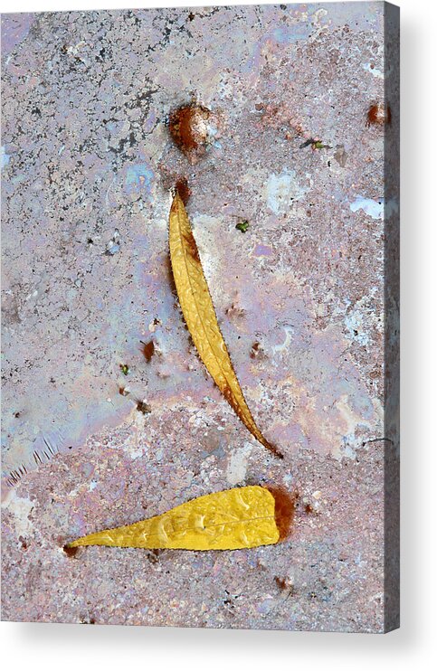 Leaf Acrylic Print featuring the photograph The World As We Don't Know It by Juergen Roth