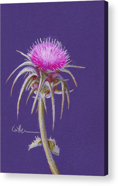 Thistle Acrylic Print featuring the painting Thistle by Diane Cutter