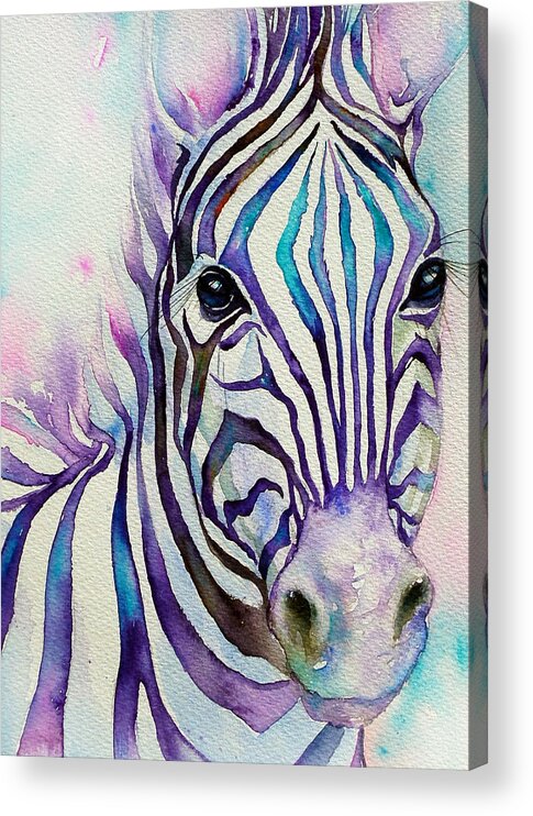 Zebra Acrylic Print featuring the painting Turquoise stripes Zebra by Arti Chauhan