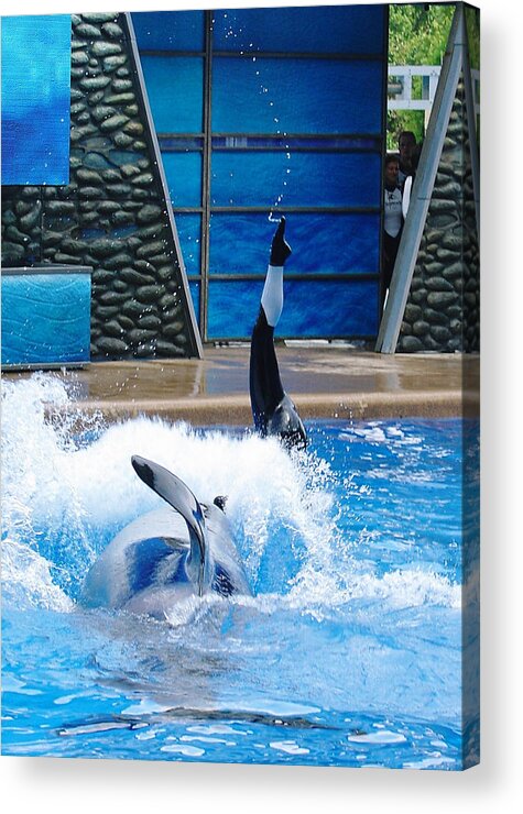Sea World Acrylic Print featuring the photograph Unbelievable by David Nicholls