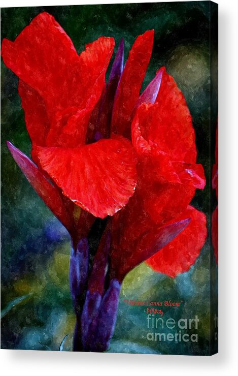 Vibrant Canna Bloom Acrylic Print featuring the photograph Vibrant Canna Bloom by Patrick Witz