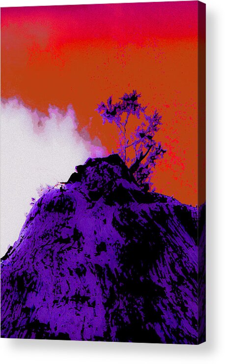 Abstract Acrylic Print featuring the photograph Vicksburg Woods IV by Michael Nowotny