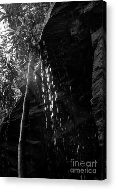Water Drops Acrylic Print featuring the photograph Water drops after storm by Dan Friend