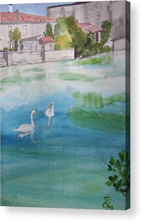 Swans Acrylic Print featuring the painting We've lost the baby......again by Carole Robins
