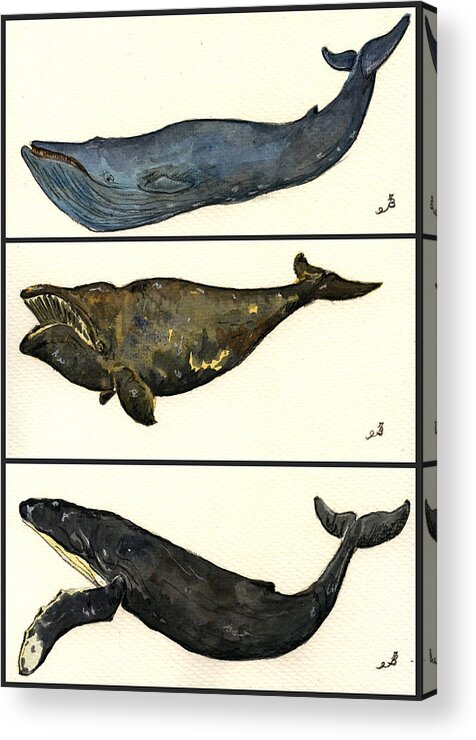 Blue Acrylic Print featuring the painting Whales compilation 1 by Juan Bosco