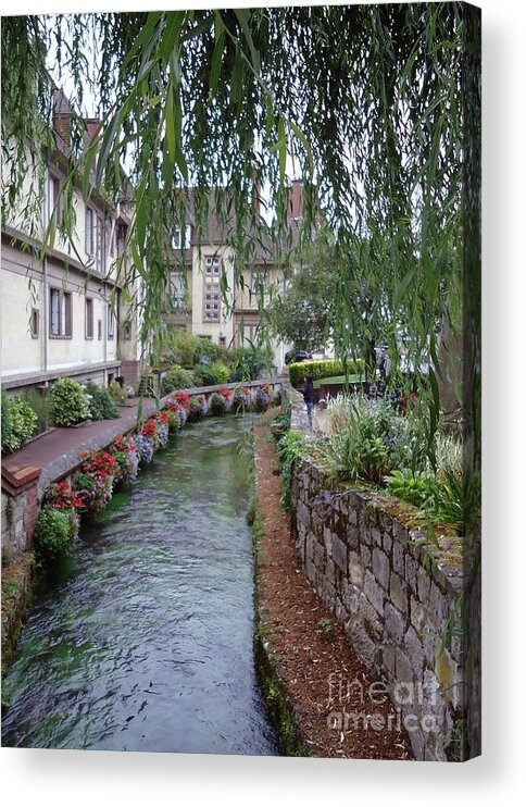 Willow Acrylic Print featuring the photograph Willows Over The River by Barbie Corbett-Newmin