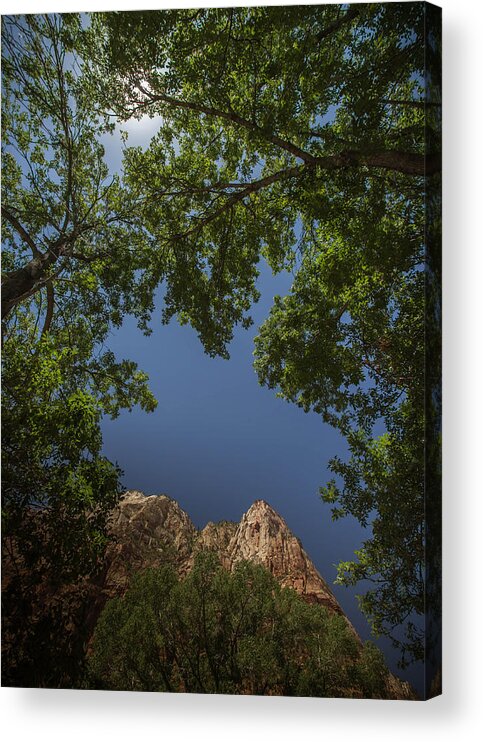 Mountain Acrylic Print featuring the photograph Windows in Zion by Dwight Theall