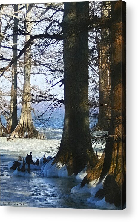 Reelfoot Lake Acrylic Print featuring the photograph Winter at Reelfoot Lake by Bonnie Willis
