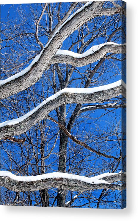 Winter Branches Acrylic Print featuring the photograph Winter Branches by Carolyn Derstine