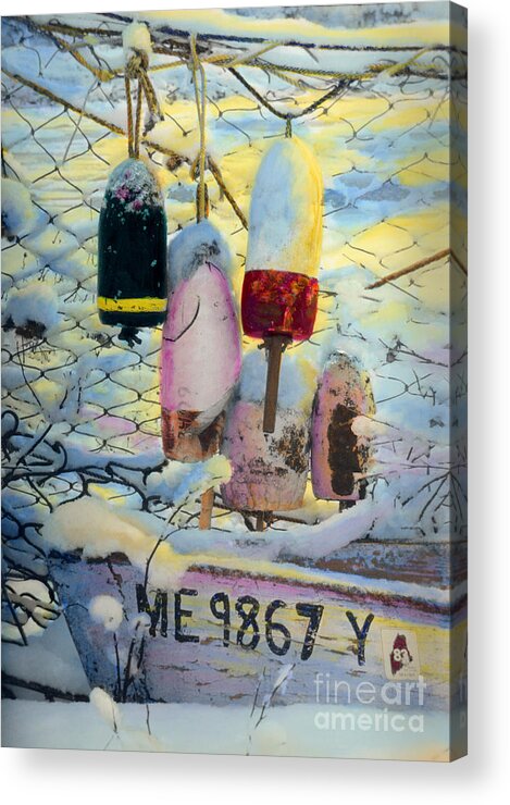 Lobster Buoys Acrylic Print featuring the painting Winter Buoys by Cindy McIntyre