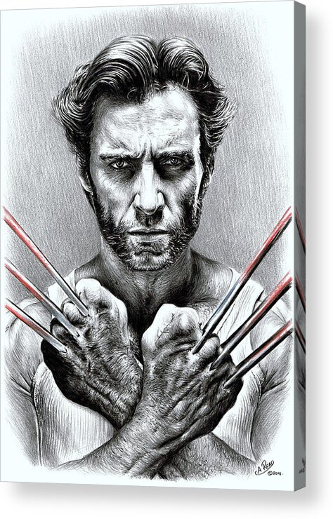 Andrew Read Acrylic Print featuring the drawing Wolverine by Andrew Read