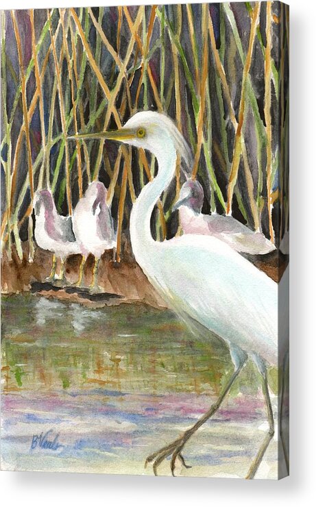 Egret Acrylic Print featuring the painting Young Egret and Friends by Bev Veals