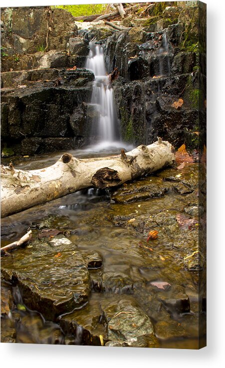 Buttermilk Acrylic Print featuring the photograph Buttermilk Falls #1 by Mike Horvath