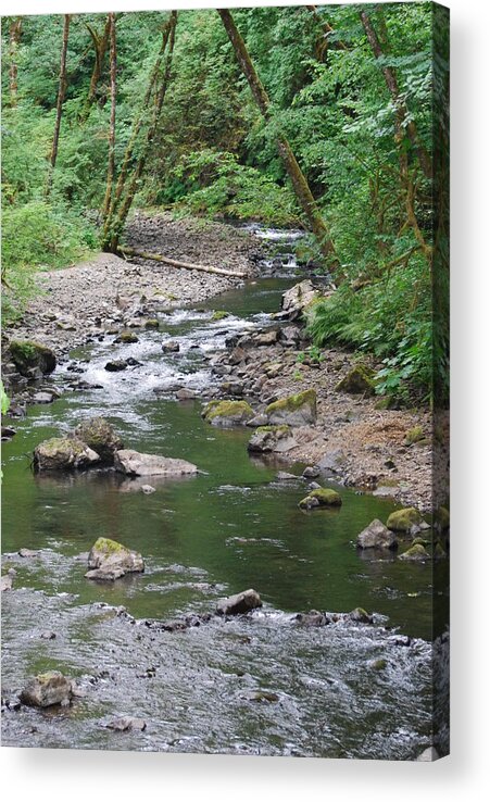 Water Acrylic Print featuring the photograph Cedar Creek #1 by Gene Ritchhart