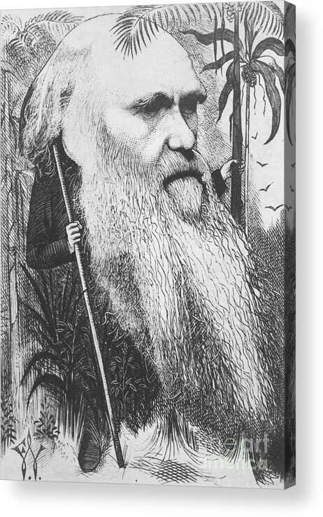 History Acrylic Print featuring the photograph Charles Robert Darwin, English #7 by Science Source