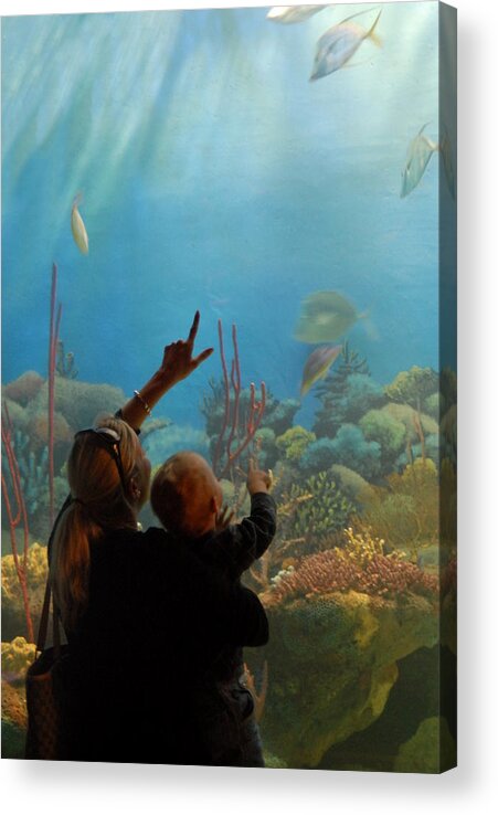 Aquarium Art Acrylic Print featuring the photograph Aquarium 75 by Joyce StJames