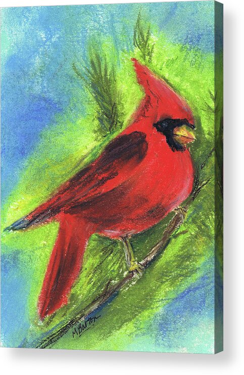 Bird Acrylic Print featuring the pastel Arizona Cardinal by Marilyn Barton