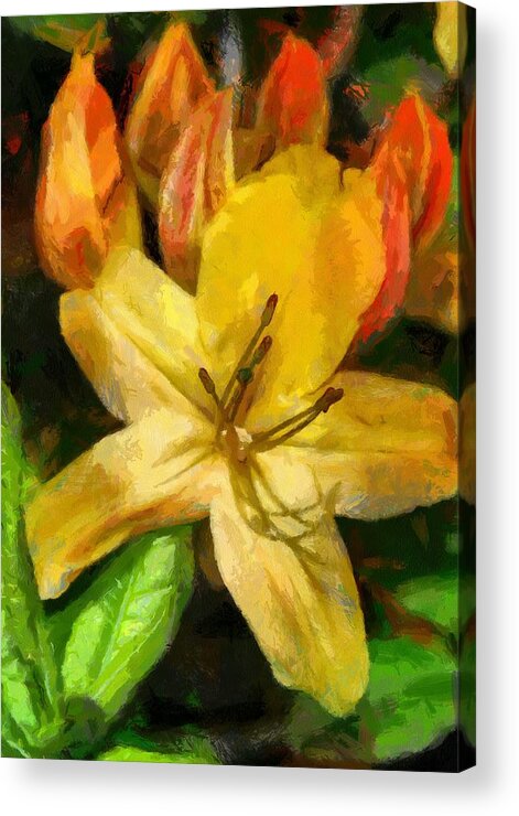 Stamen Acrylic Print featuring the digital art Azalea in bloom by Fran Woods