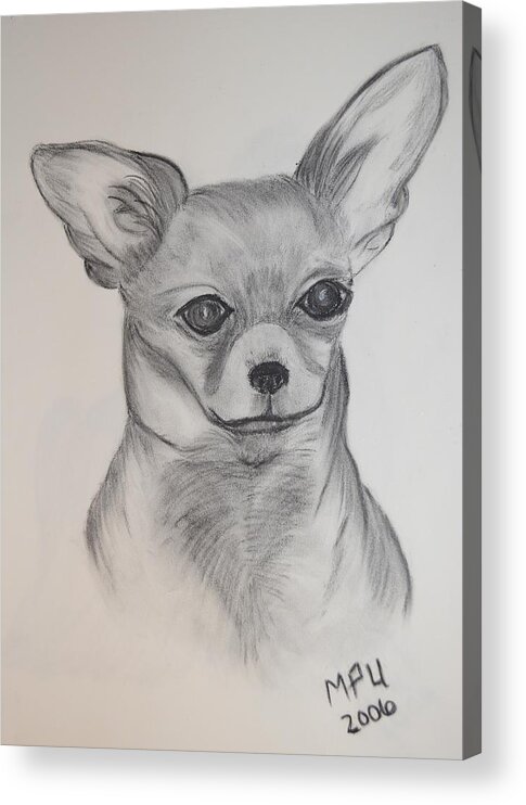 Chi Chi Acrylic Print featuring the drawing Chi Chi by Maria Urso