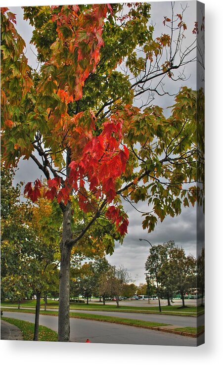  Acrylic Print featuring the photograph Cold Autumn Breeze by Michael Frank Jr