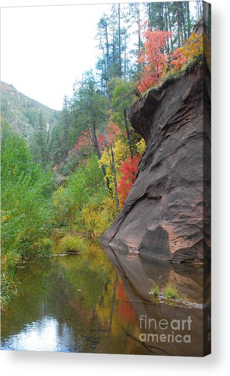 Sedona Acrylic Print featuring the photograph Fall Peeks from behind the Rocks by Heather Kirk