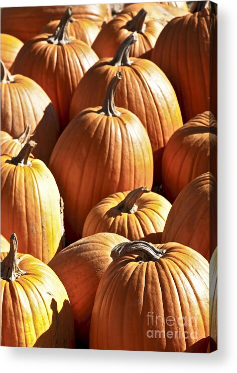 Fall Acrylic Print featuring the photograph Fall Pumpkins by Brenda Giasson