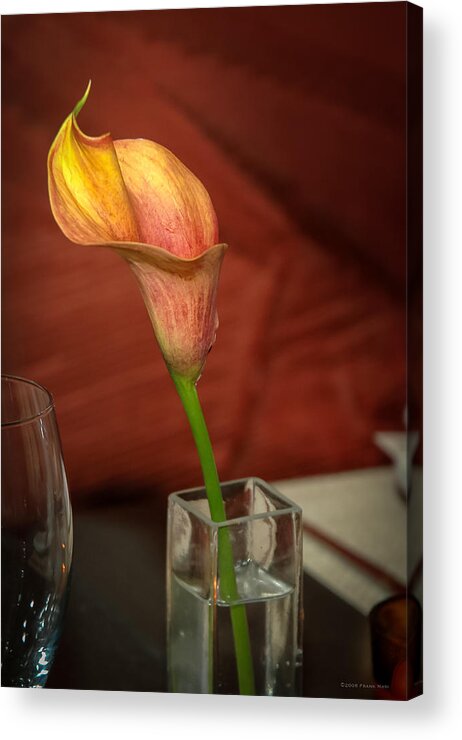Flower Acrylic Print featuring the photograph Flower and Vase by Frank Mari