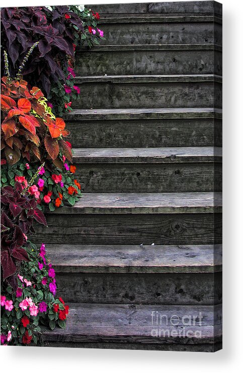 In Focus Acrylic Print featuring the photograph Flowers and Steps by Joanne Coyle