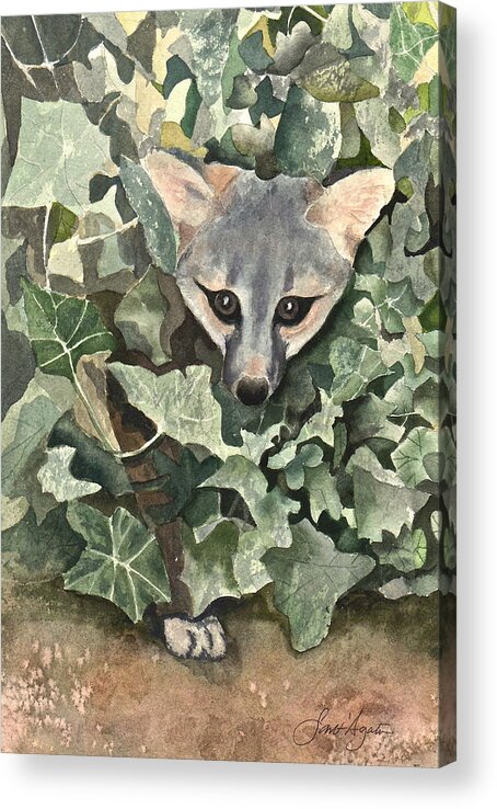 Ivy Acrylic Print featuring the painting Fox 'n Ivy by Frank SantAgata