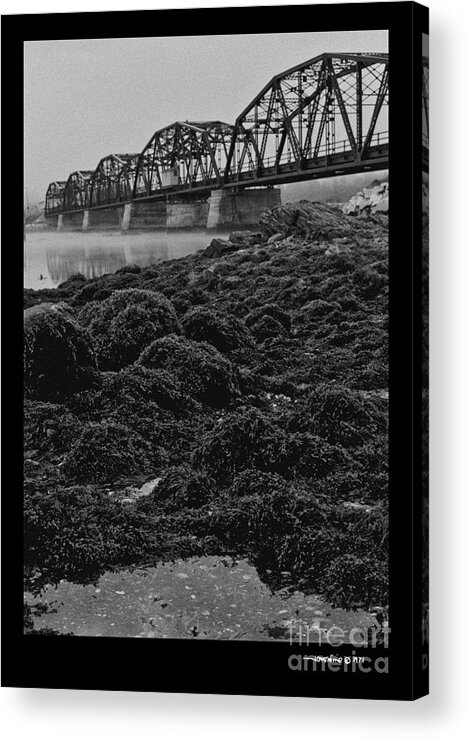 Maine Acrylic Print featuring the photograph Frenchmans Bay Rr Bridge by Jonathan Fine