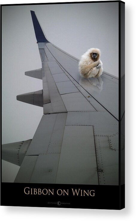 Wing Acrylic Print featuring the photograph Gibbon On Wing by Tim Nyberg