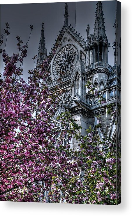 Notre Dame Acrylic Print featuring the photograph Gothic Paris by Jennifer Ancker