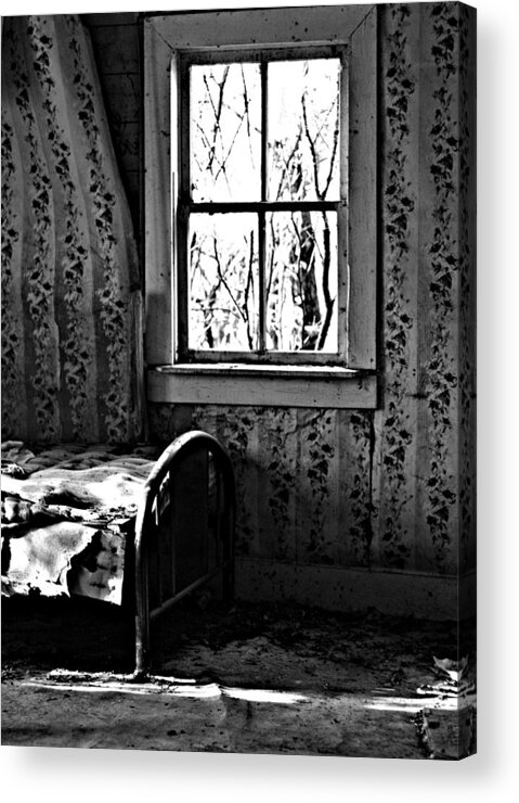 Elm Framed Prints Framed Prints Acrylic Print featuring the photograph Jennys Room by J C
